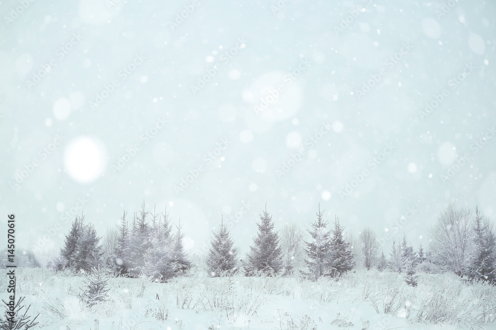 Obraz premium background winter forest covered with snow
