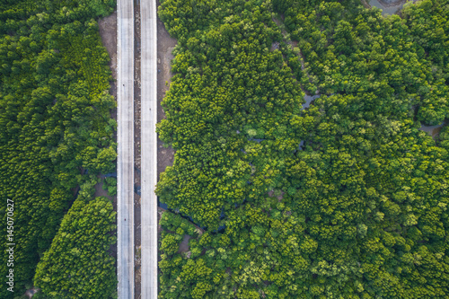 Road in the green mangrove forest in Phuket, Thailand. Aerial view from flying drone