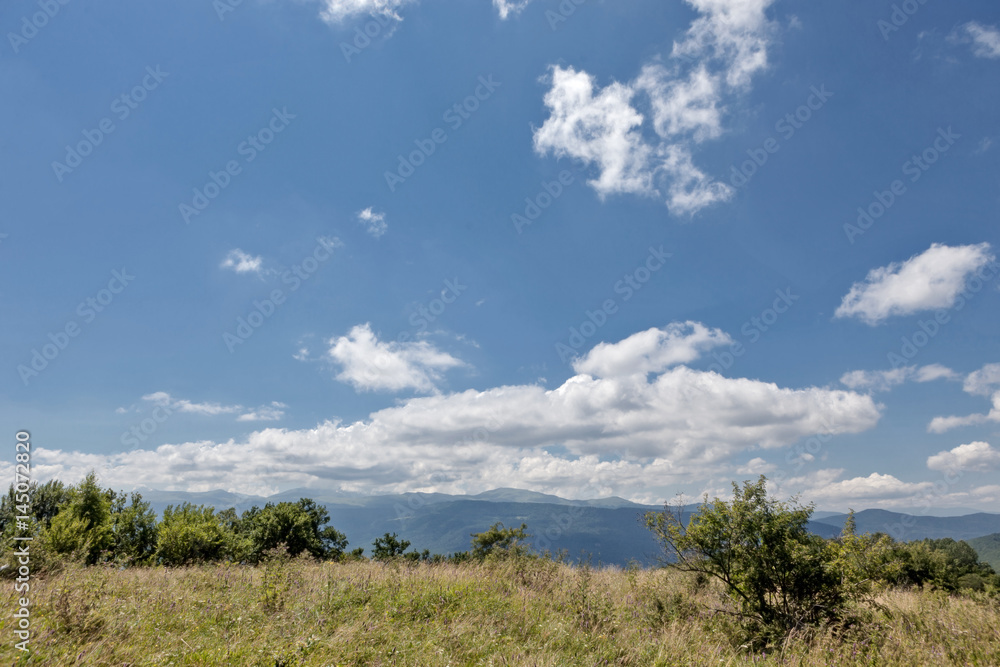 Summer mountains green grass and blue sky with clouds landscape.