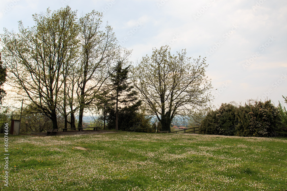 panorama dalle colline di Casteggio - oltrepò pavese panorama dalle colline di Casteggio - oltrepò pavese