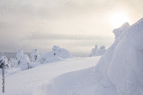 Winter in Lappland © Johannes Aßlaber