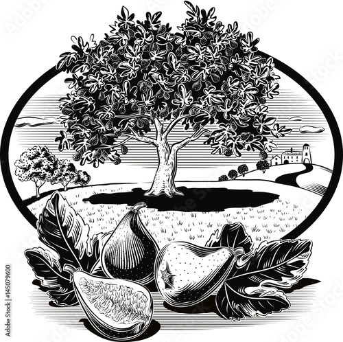 oval frame with figs in orchard landscape.