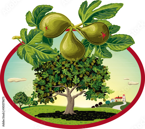 oval frame with figs in orchard landscape.