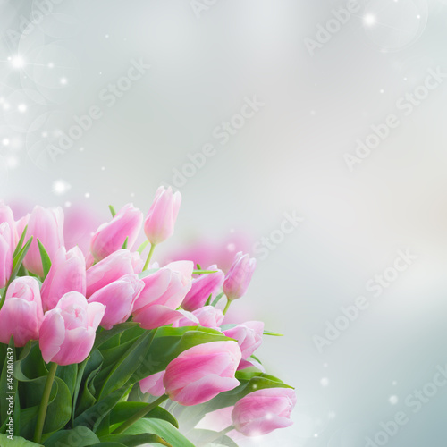 Fototapeta Naklejka Na Ścianę i Meble -  Bouquet of pink tulips close up with copy space on blue backgrpound