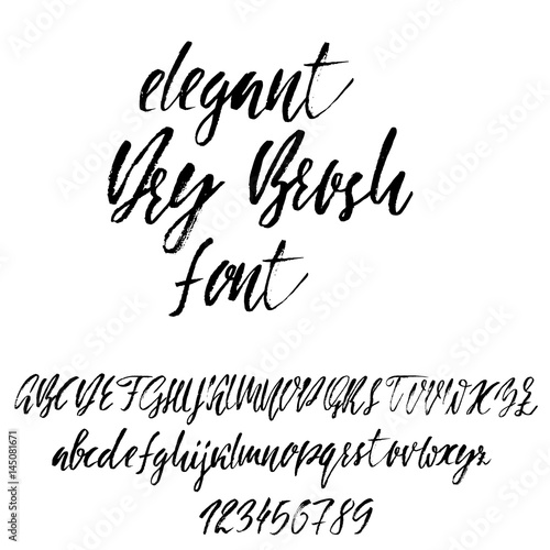 Hand drawn font. Modern dry brush lettering. Elegant alphabet. Vector illustration.