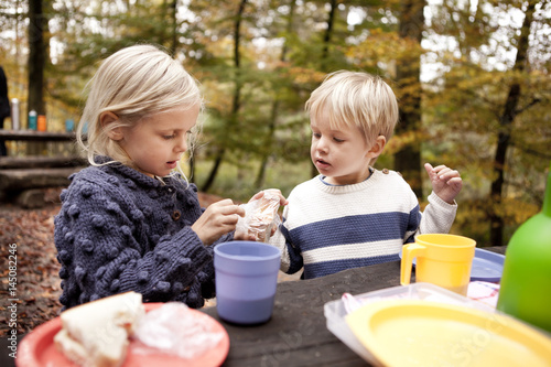 Children eating at picnic table