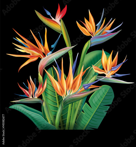 Floral bouquet with Strelitzia flowers
