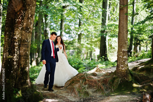 Lovely wedding couple at amazing landscapes walking on wood. © AS Photo Family
