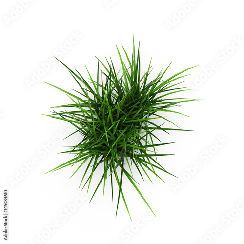 Grass isolated on white. 3D illustration