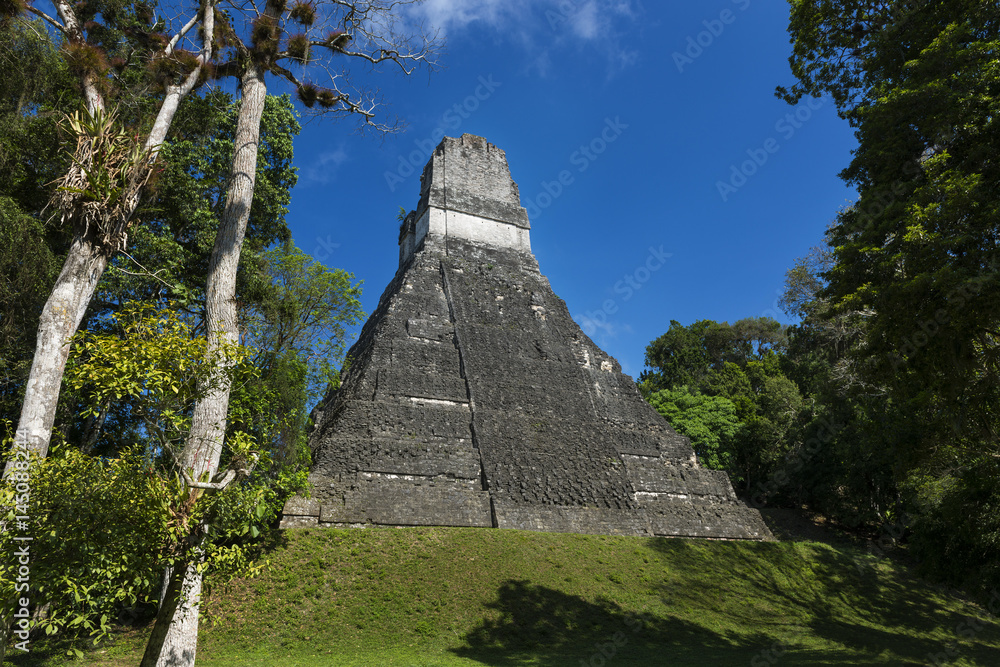 Pyramid in the ancient Maya City of Tikal in Guatemala, Central America