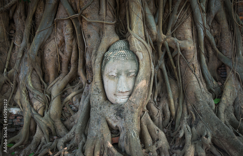 Buddha Head in Tree Wat MahaThat, Ayutthaya, Thailand