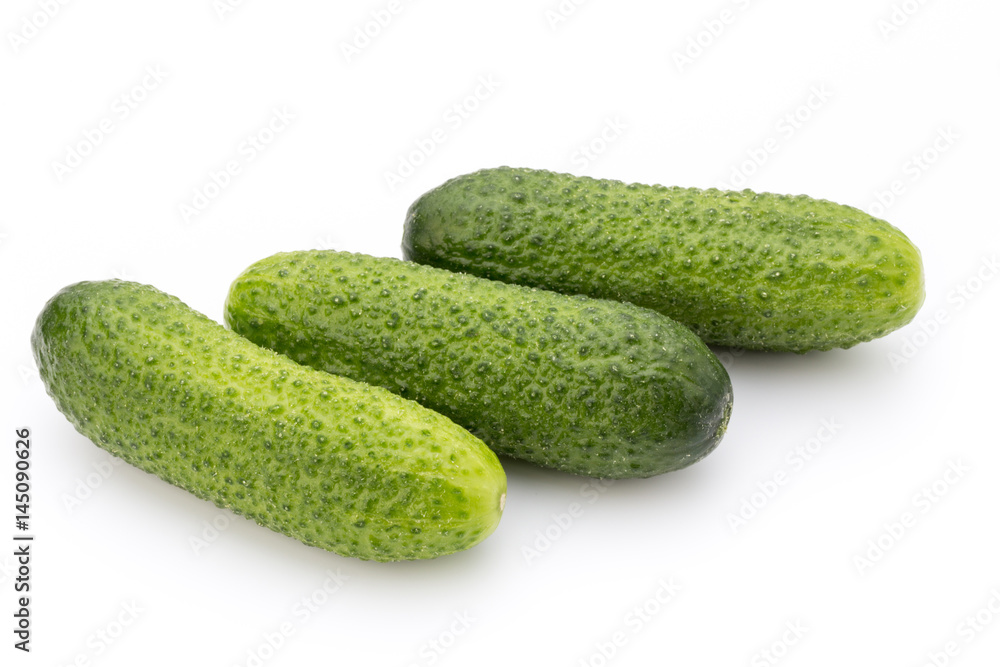 The first spring ecologically cucumbers. The first spring ecologically cucumbers.
