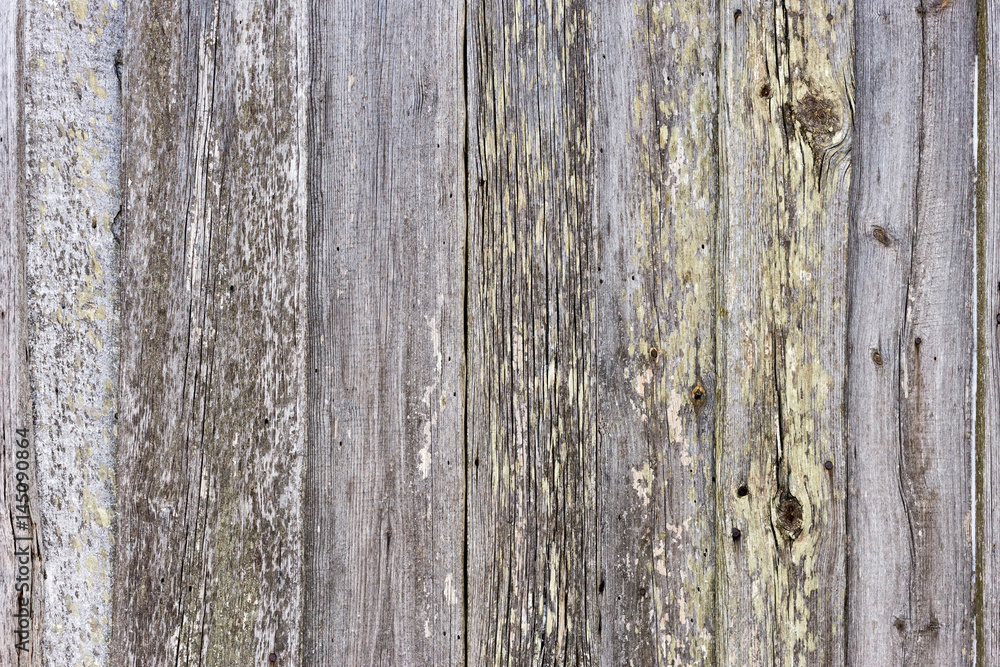 The old wood texture with natural patterns The old wood texture with natural patterns