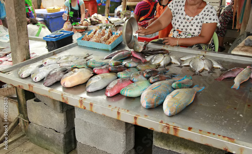 Colorful fresh tropical fish in the market. Thailand.