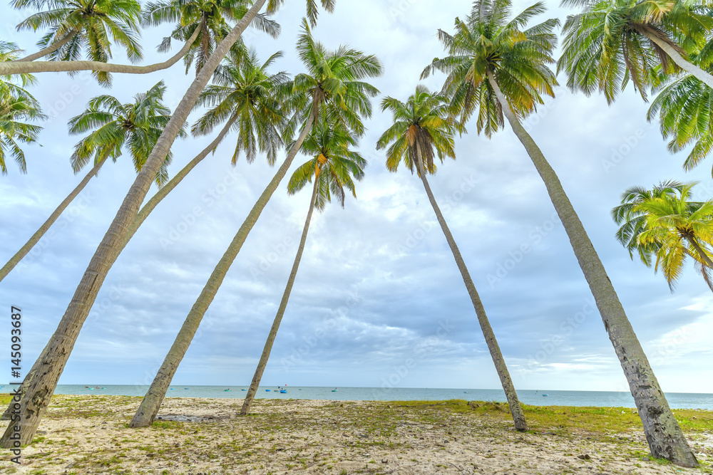 Tropical beach with coconut palm. This is the appropriate place for weekend vacation with family
Paradise beach