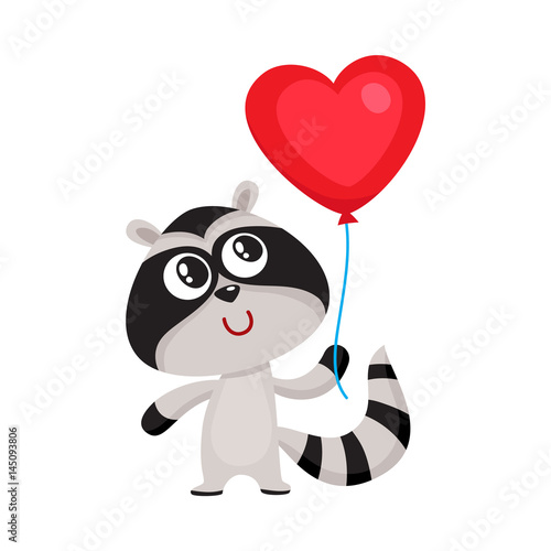 Cute and funny raccoon holding red heart shaped balloon  cartoon vector illustration isolated on white background. Raccoon holding heart balloon  birthday greeting decoration