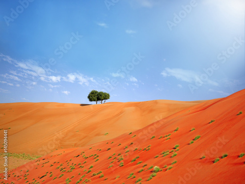 Orange sand of the Wahiba desert, Oman photo
