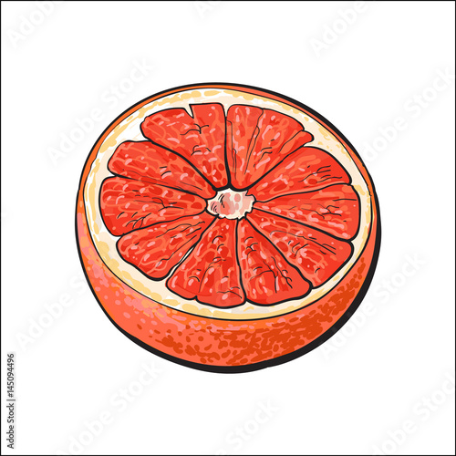 Half of ripe pink grapefruit, red orange, hand drawn sketch style vector illustration on white background. Hand drawing of unpeeled grapefruit cut in half