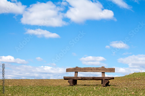 Empty wooden bench in the park
