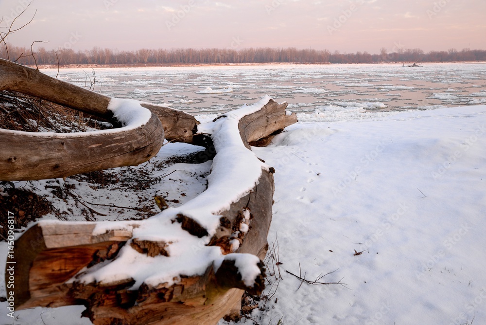 dry tree trunk and a winter dawn on the river bank