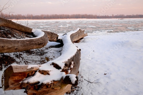 Obraz na płótnie dry tree trunk and a winter dawn on the river bank w salonie