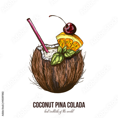 Coconut Pina Colada, vector illustration