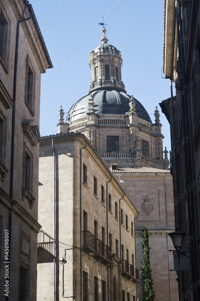 Fototapeta premium Salamanca (Spain): historic buildings