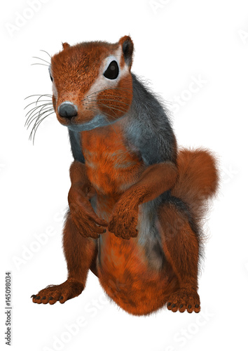 Fototapeta Naklejka Na Ścianę i Meble -  3D Rendering Red Bush Squirrel on White