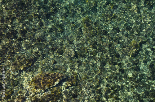 Background of the Corsican shallow water