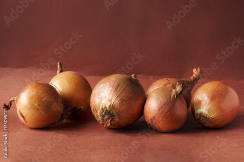 still life with onion on a brown background