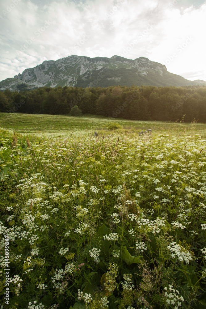 Obraz premium Mountain pass at sunset light in high mountains; wide angle lens, low angle view; 