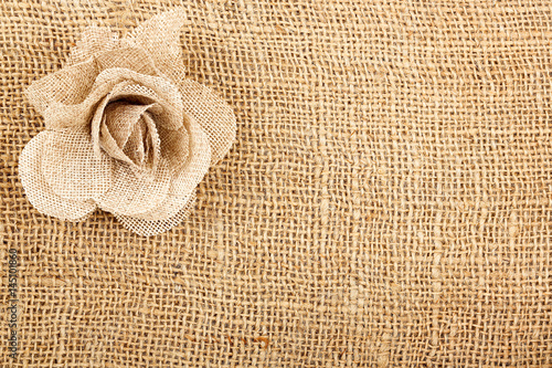 Obraz na plátně sackcloth rose