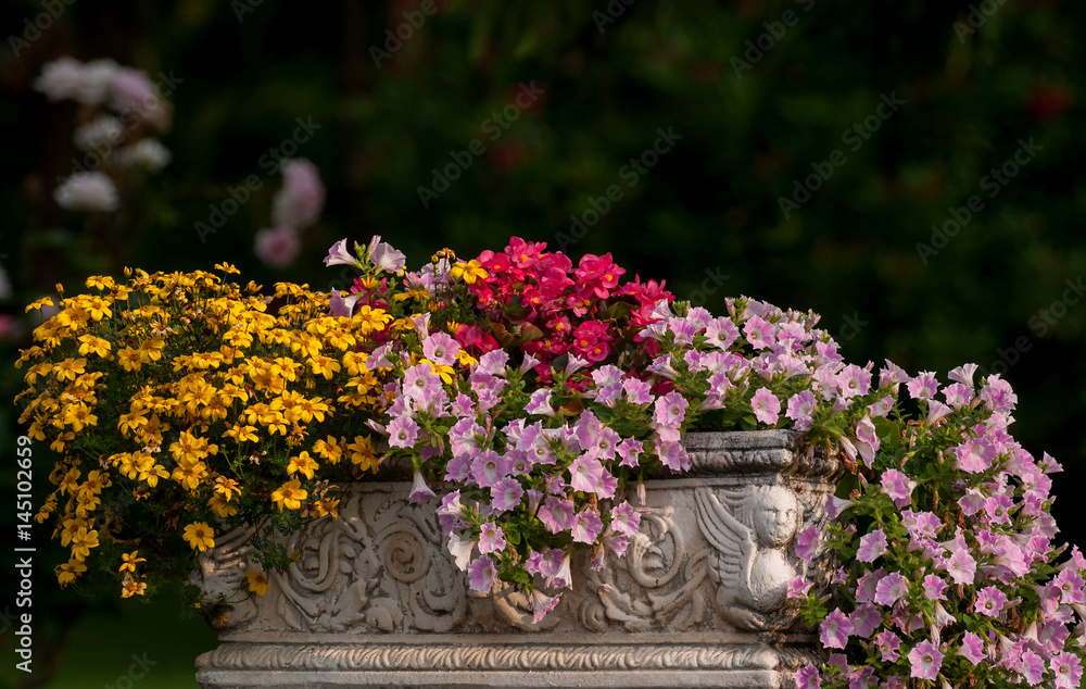 Flowers in old style pot.