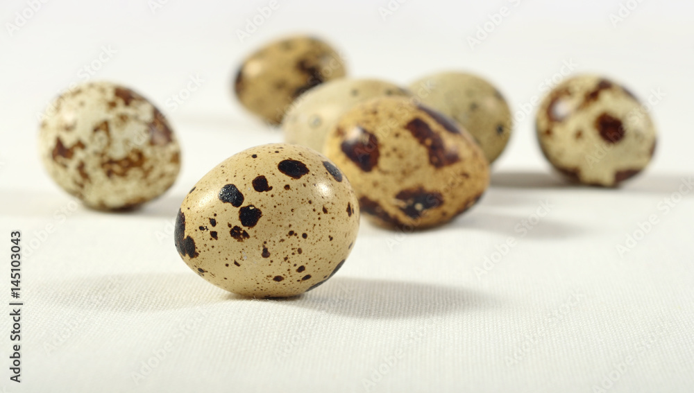 Quail eggs in a sacking background Quail eggs in a sacking background