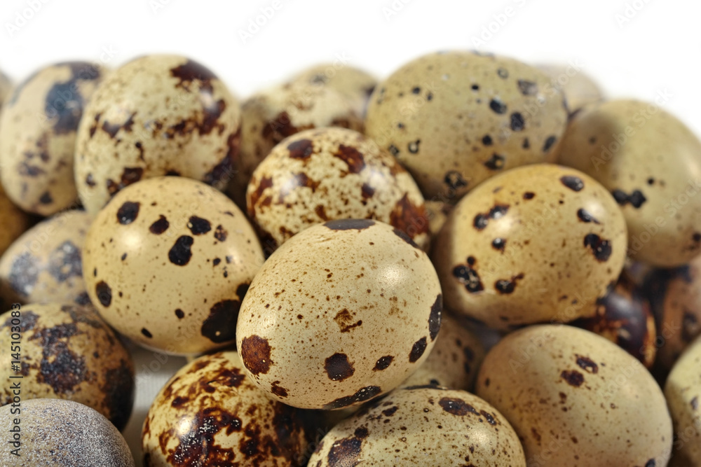 Quail eggs close up on a white