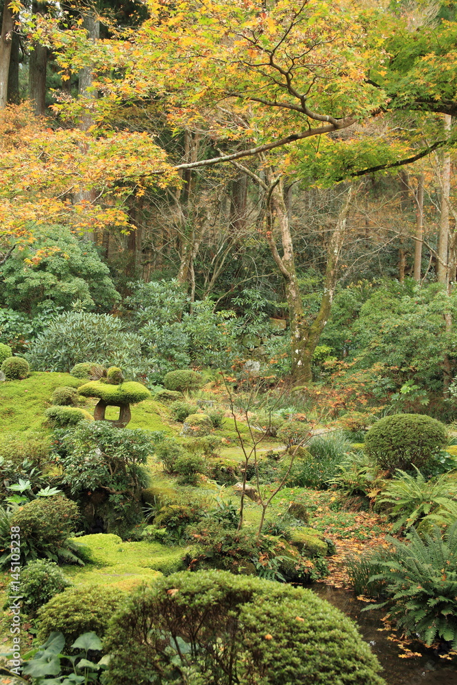 秋の京都の寺院の庭