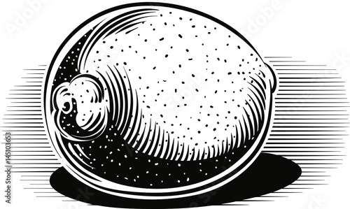 Lemon on a white background.