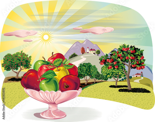Orchard with rows of apple trees and fruit bowl