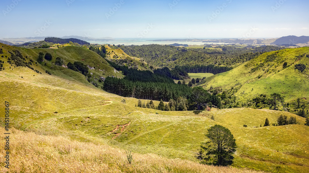 typical landscape in north New Zealand