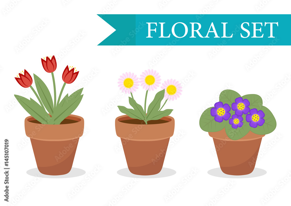 Flower pot with different flowers set, flat style. Flowerpot Collection isolated on white background. Vector illustration, clip art