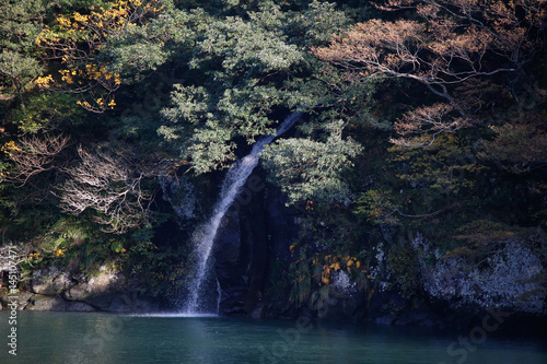 Mountain's autumn leaves