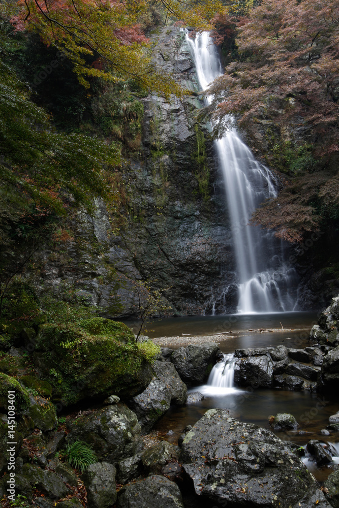 Fototapeta premium 秋の箕面の滝
