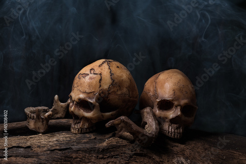 Two human skulls with smoke