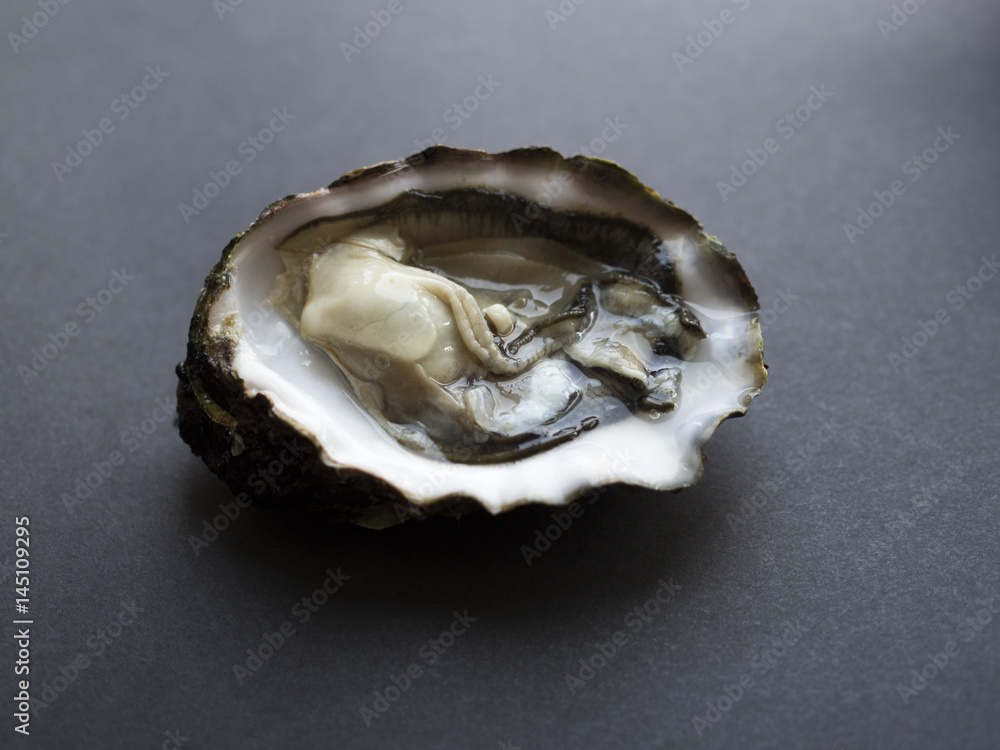 Fresh open oyster in shell isolated on black background Fresh open oyster in shell isolated on black background