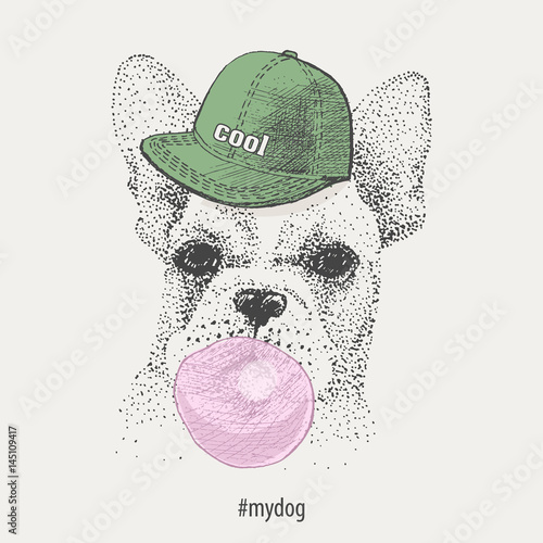 French bulldog in rapper cap inflates bubble gum. vector. freehand drawing