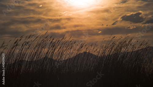 Wallpaper Mural The sunset is very different Torontodigital.ca