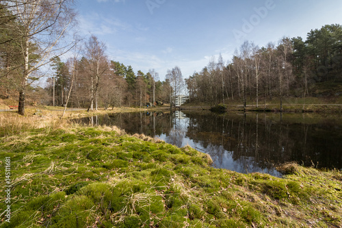 Svarttjern, a Frog and Toad pond in Baneheia in Kristiansand, Norway