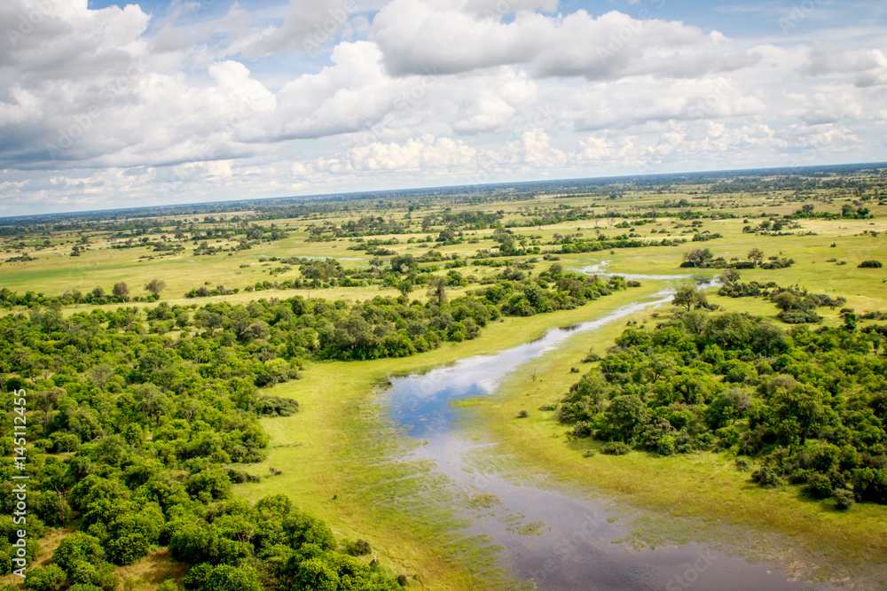 Aerial view of the Okavango delta.