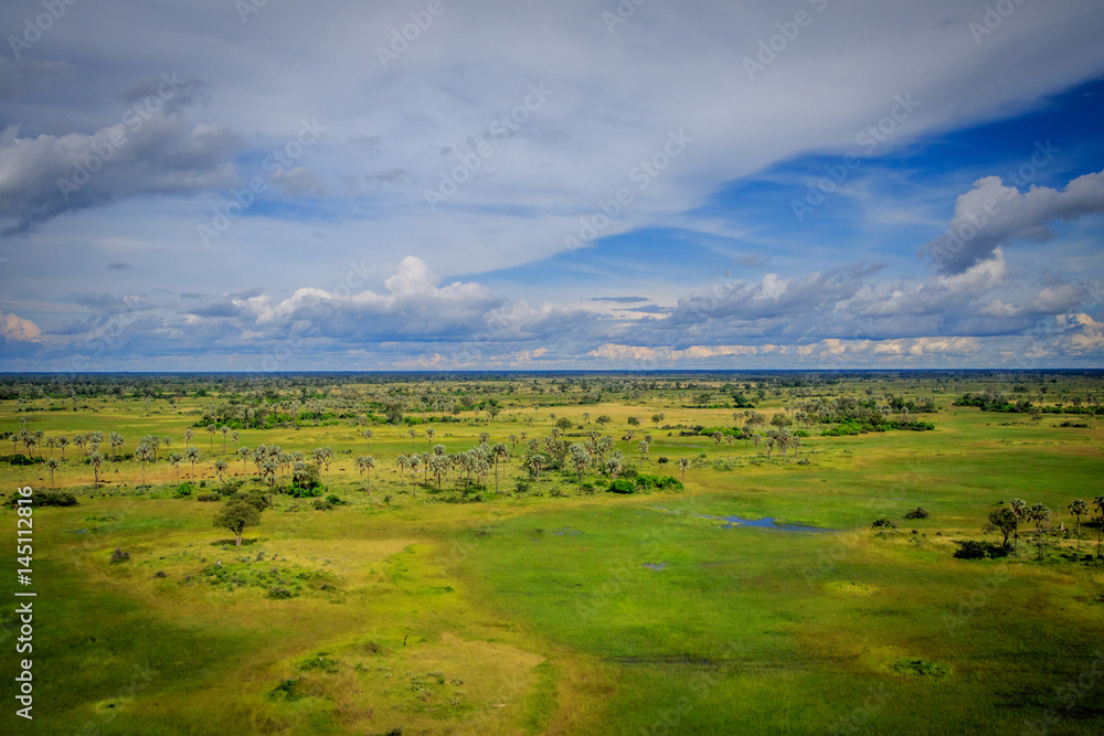 Aerial view of the Okavango delta. Aerial view of the Okavango delta.