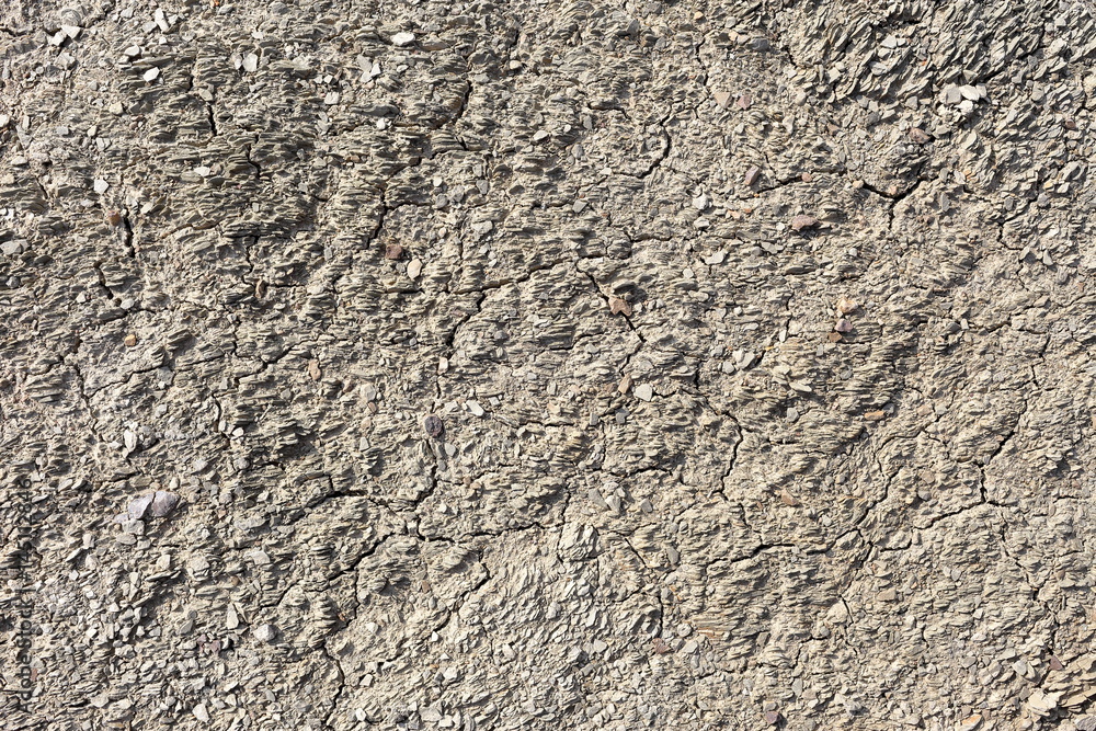 dried soil closeup texture dried soil closeup texture